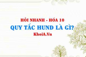 Quy tắc Hund là gì? Tìm hiểu quy tắc Hund lớp 10, ví dụ về quy tắc Hund?